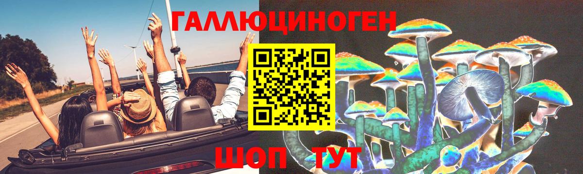 Канаш  Галлюциногенные грибы Psilocybe  наркота  Вход с VPN  Галлюциногенные грибы Psilocybe 